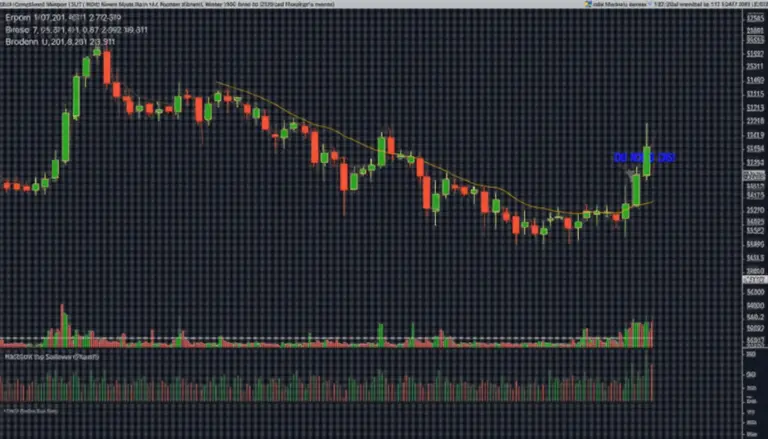 Bitcoin Order Book Analysis Tools: Navigating Market Dynamics